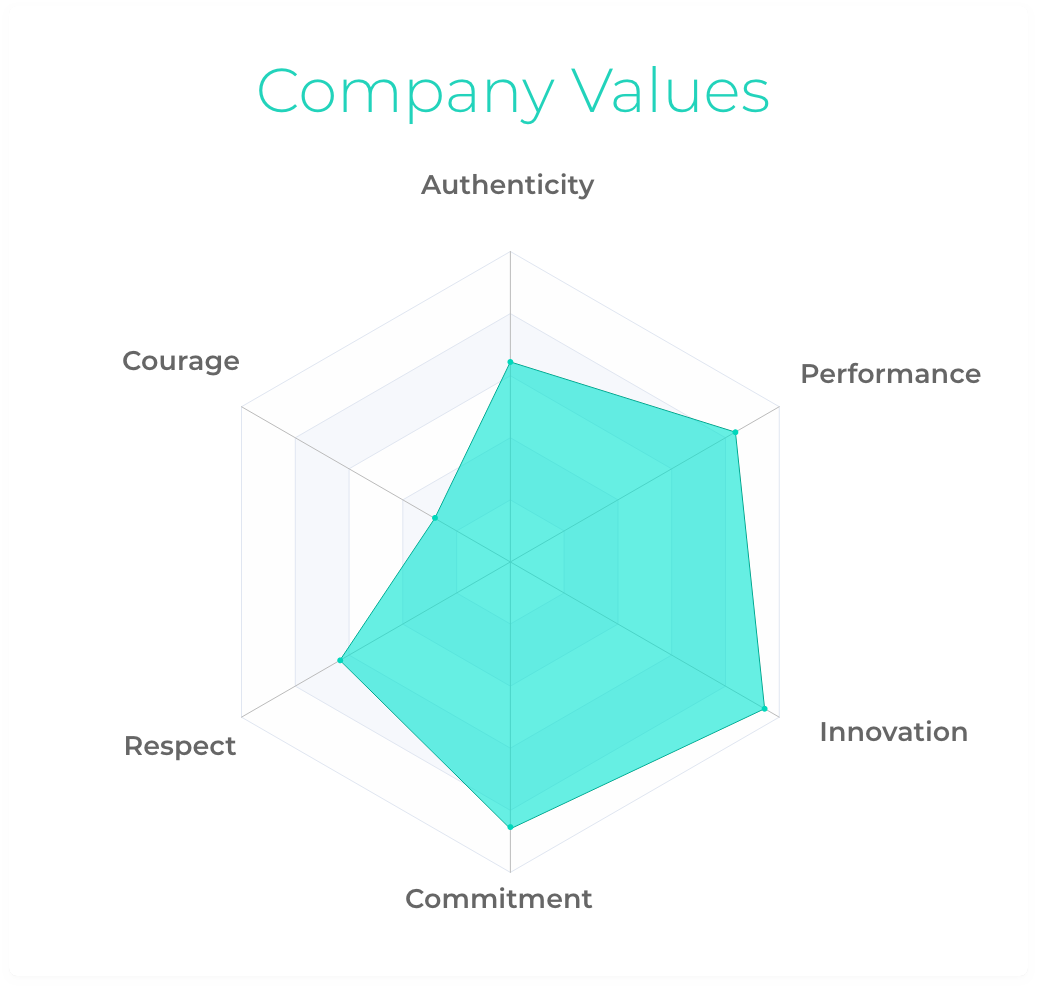 Mirro's company values