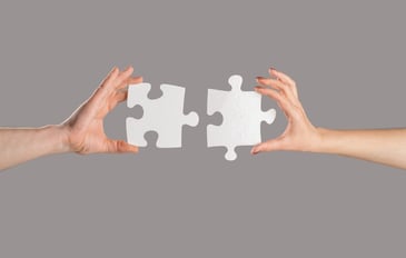how it fits into the bigger puzzle
