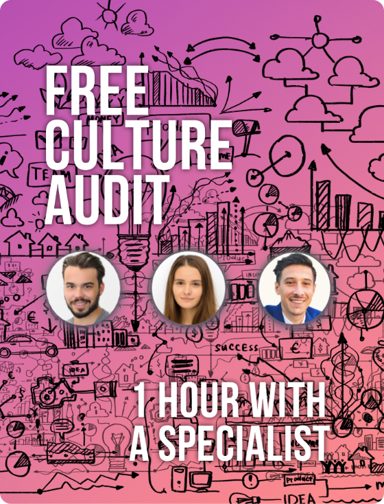Culture-Audit-Resources-Mirro.io